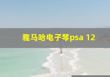 雅马哈电子琴psa 12